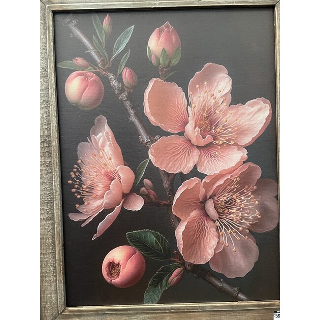 Sober landelijke lijst perzikbloesem 52 x 66 cm