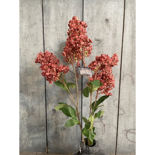 ## Hydrangea Spray Red Grande 75 cm