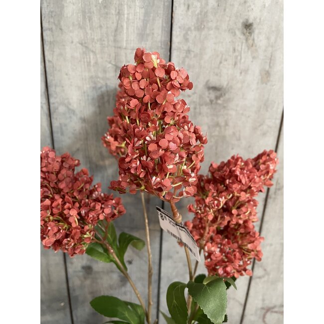 ## Hydrangea Spray Red Grande 75 cm
