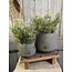 # Planter BRYNXZ Basic Majestic Vintage - grootste - per stuk D.26 H.20