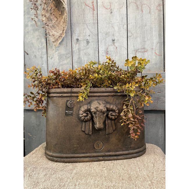 # Planter Oval With Ram Majestic Brown M 40X24X25