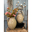 # Jar Brynxz Best Khaki Olive D.25 H.30