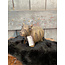 # Cow Classic Majestic Brown L D.19 H.14