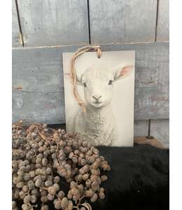 Decobordje - lammetje - hout aan touw - 15 x 1 x 21 cm