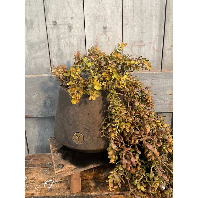 # Planter BRYNXZ Basic Majestic Brown - grootste - per stuk D.26 H.20