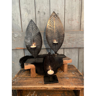 Waxinehouder bladset 3 - Smal      20 x 8 x 5 Medium  30 x 12 x 8 Large     40 x 16 x 9