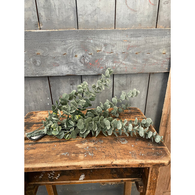 Countryfield ## Kunstblad Eucalipthus S groen-L18B18H61CM