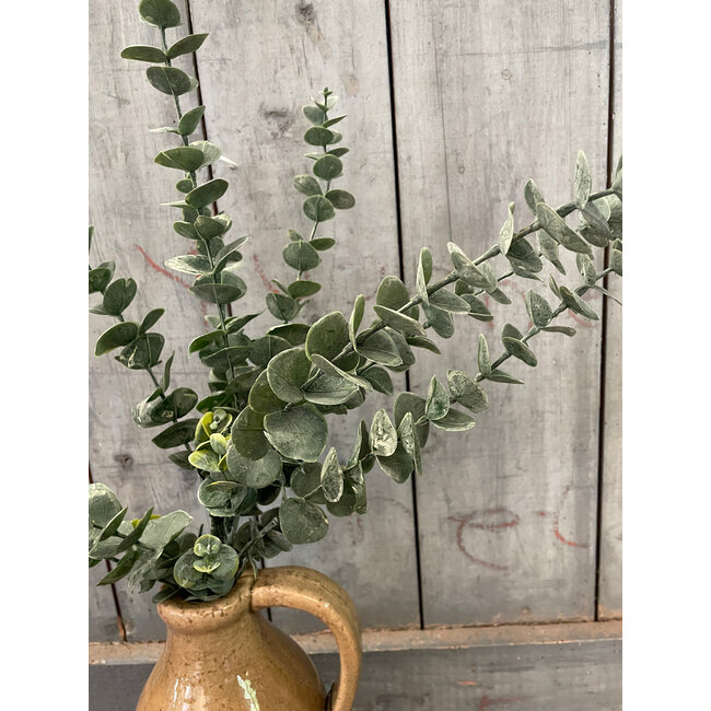 Countryfield ## Kunstblad Eucalipthus S groen-L18B18H61CM