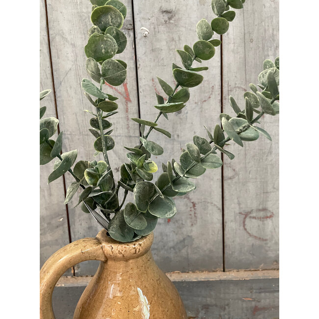 Countryfield ## Kunstblad Eucalipthus L groen-L12B12H105CM