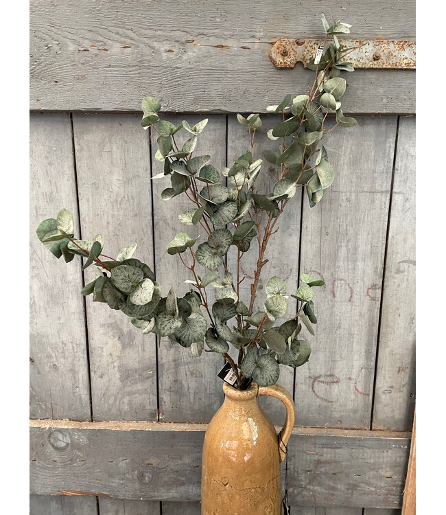 Countryfield Kunstblad Eucalypthus L groen-L128B25H10CM