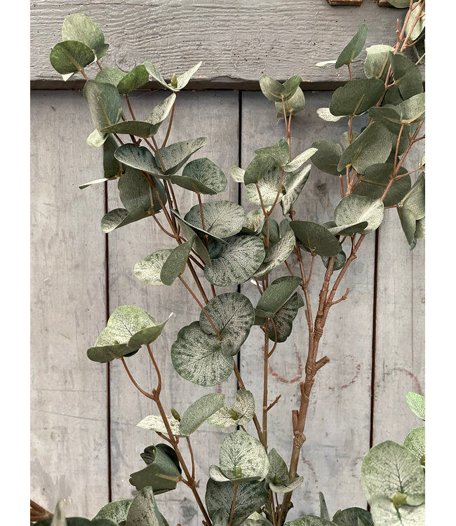 Countryfield Kunstblad Eucalypthus L groen-L128B25H10CM