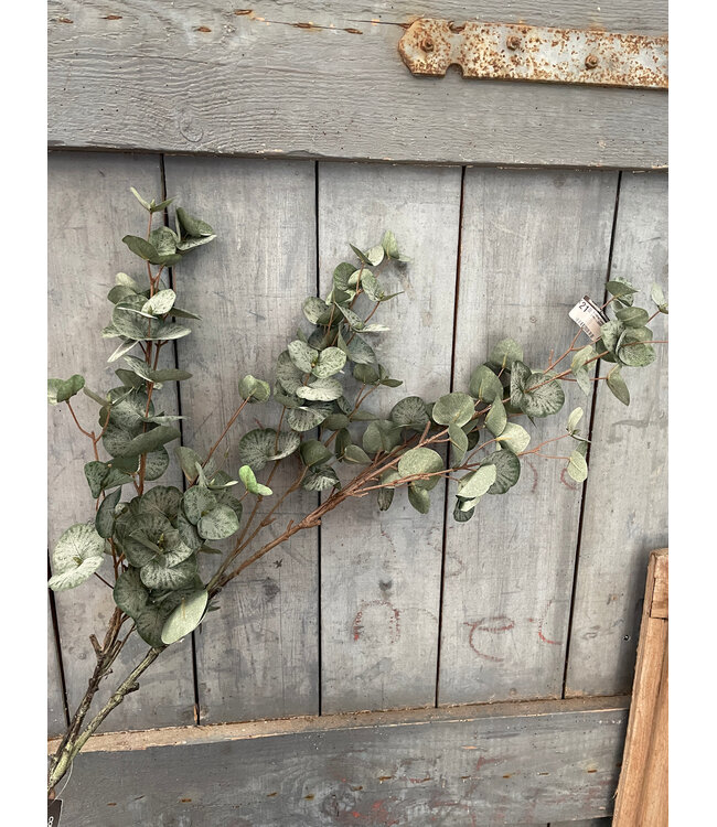 Countryfield Kunstblad Eucalypthus L groen-L128B25H10CM