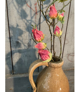 Countryfield 811221 hibiscus pink - 70 cm