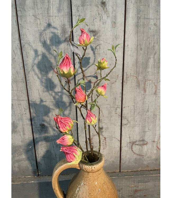 Countryfield 811221 hibiscus pink - 70 cm
