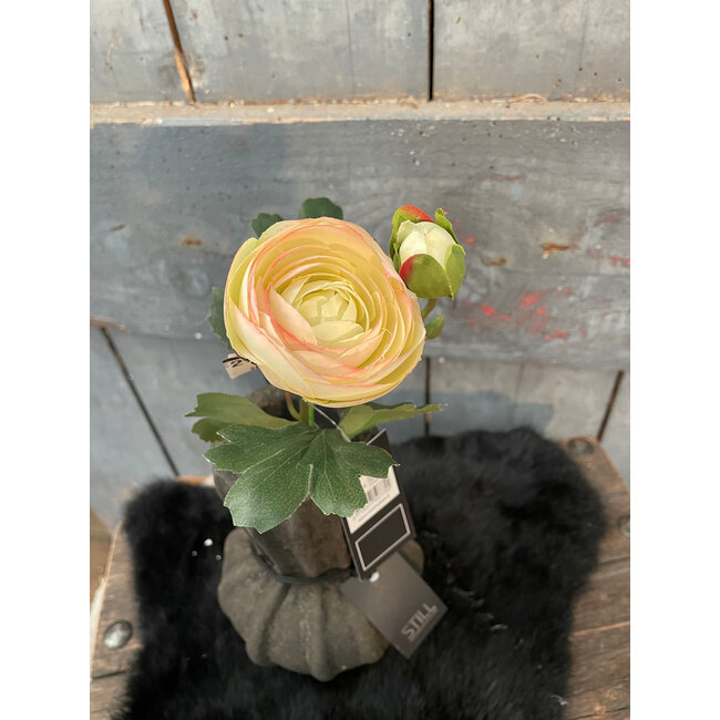 Countryfield ## Kunstbloem Ranonkel Isolde groen-L8B8H34CM