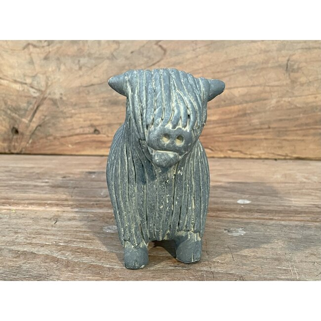 Scottish Highlander Majestic Vintage D15 H12 - voorste - kleinste - per stuk