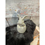 Rabbit In A Egg Majestic Vintage M D.9 H.16
