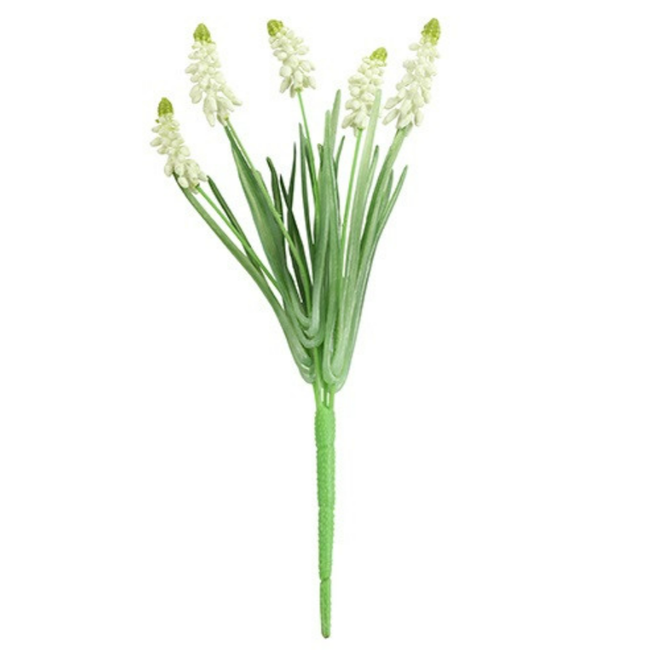 Countryfield # Muscari wit-L31B10H5CM - witte druif