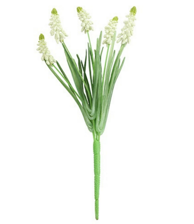 Countryfield # Muscari wit-L31B10H5CM - witte druif