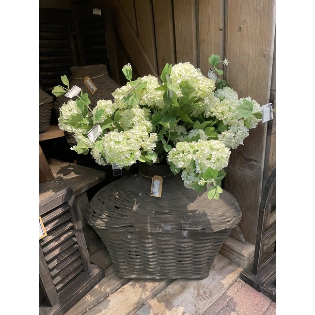 Countryfield Sneeuwbal wit - viburnum