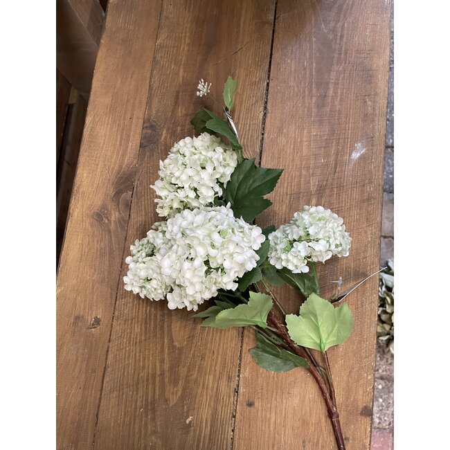 Countryfield Sneeuwbal wit - viburnum