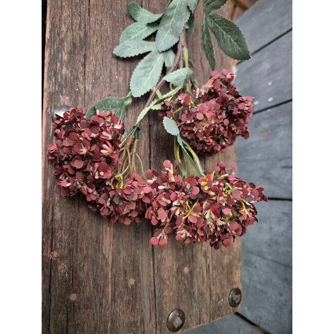 ## Hydrangea Spray brown M