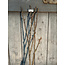 Countryfield # Kunsttak Twig Magnolia bruin-L97B13H7CM