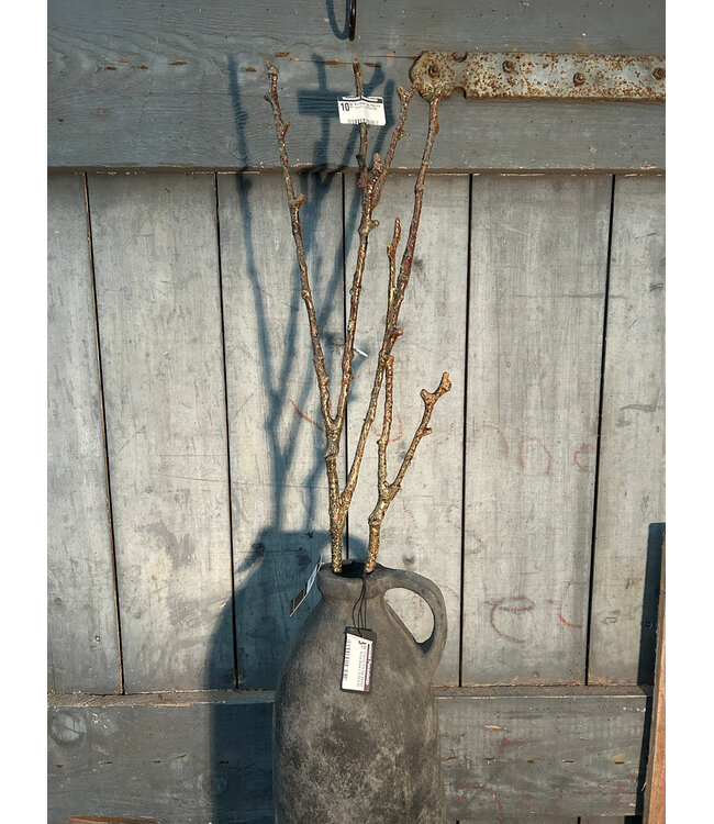 Countryfield Kunsttak Twig Magnolia bruin-L97B13H7CM