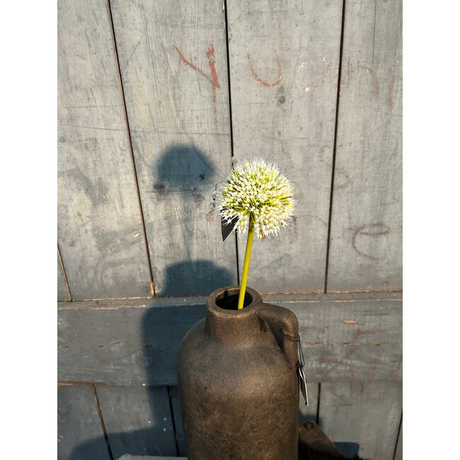## Onion ball Flower Spray white S