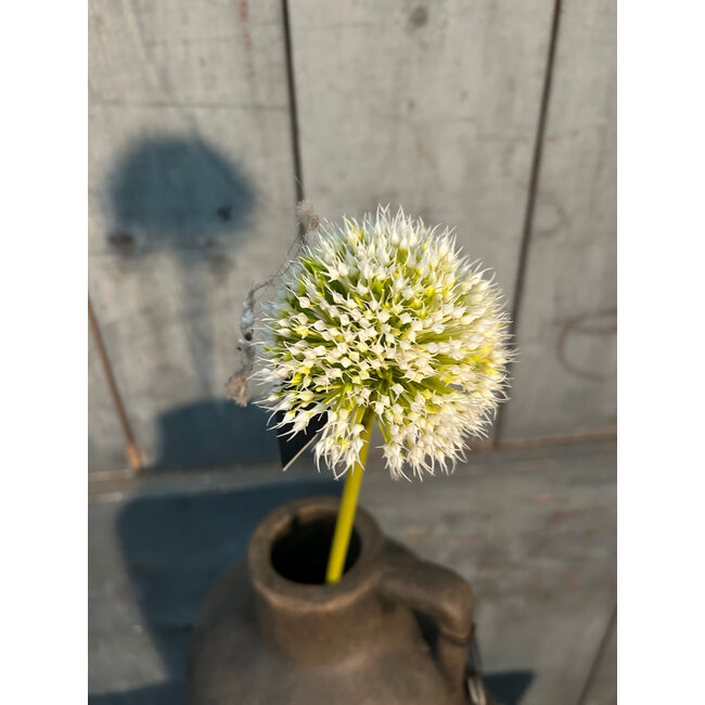 Onion ball Flower Spray white S