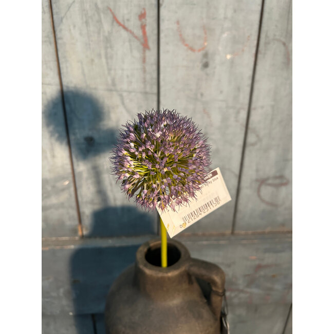 ## Onion ball Flower Spray blue S