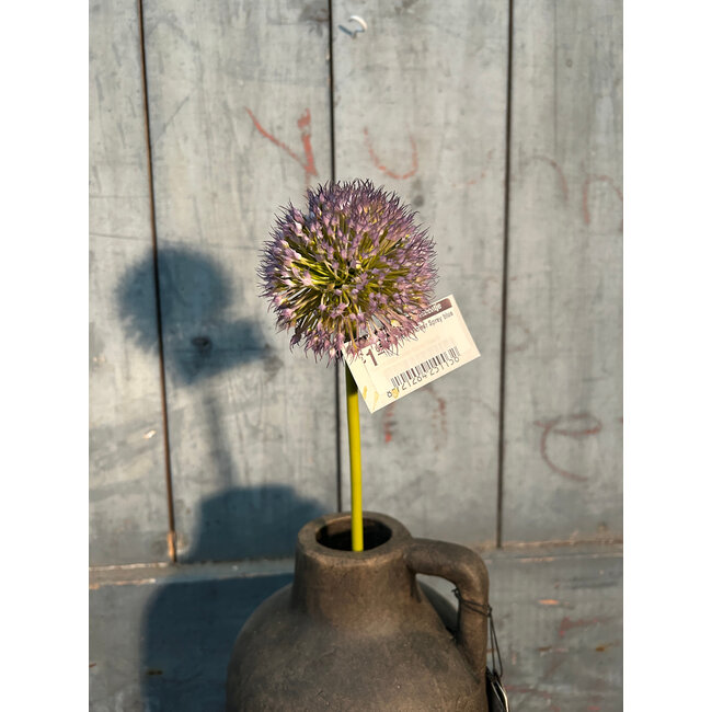 Onion ball Flower Spray blue S