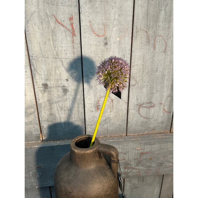 Onion ball Flower Spray blue S