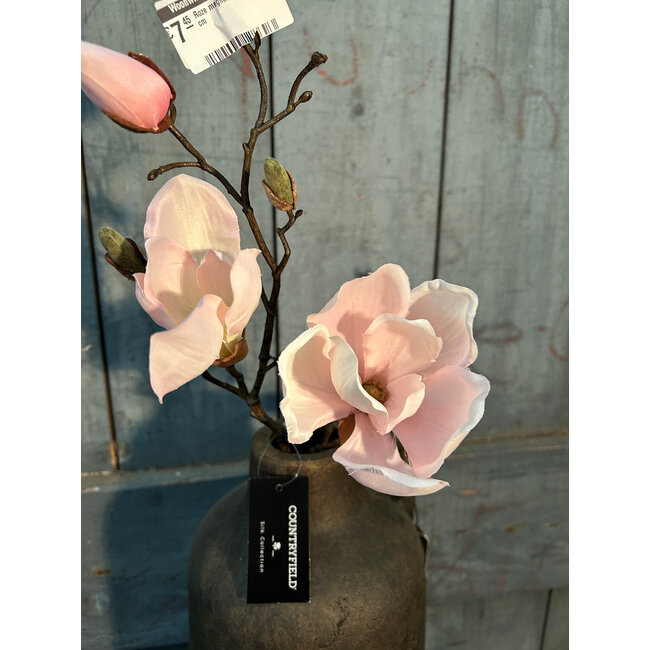 Countryfield ## Roze magnolia "Cinthya" 48 cm