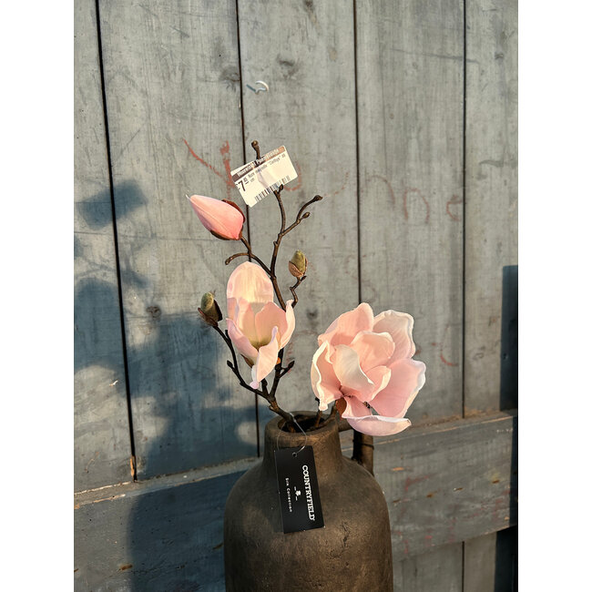 Countryfield Roze magnolia "Cinthya" 48 cm