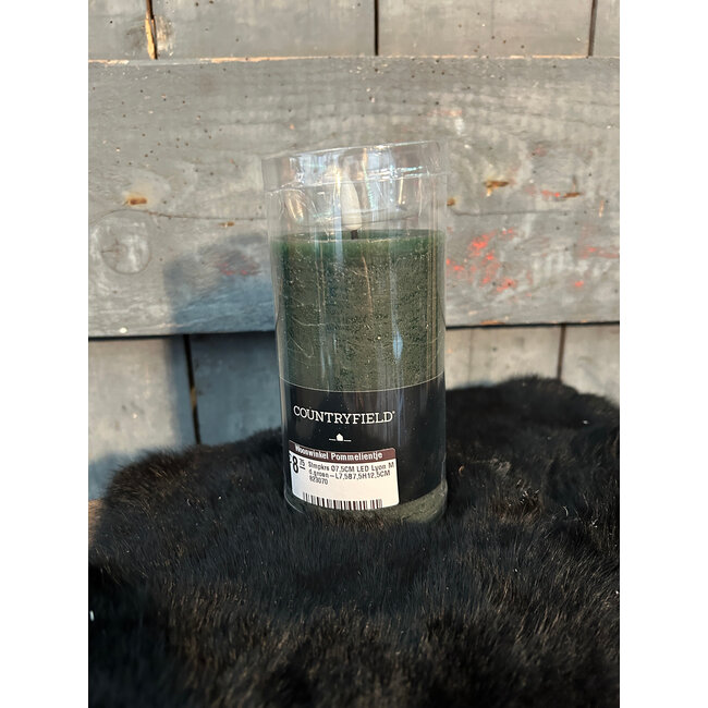 Countryfield Stmpkrs Ø7,5CM LED Lyon M d.groen-L7,5B7,5H12,5CM 823070