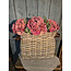 Vensterbankmand - rotan - S - ca. 44 x 19 x 36 cm