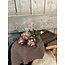 Countryfield # Bundel van 3 artichokken - paars - 35 cm