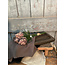 Countryfield # Bundel van 3 artichokken - paars - 35 cm