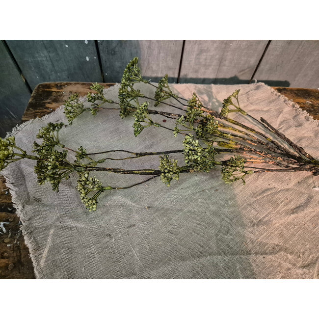 ## Rice flower green - 69cm