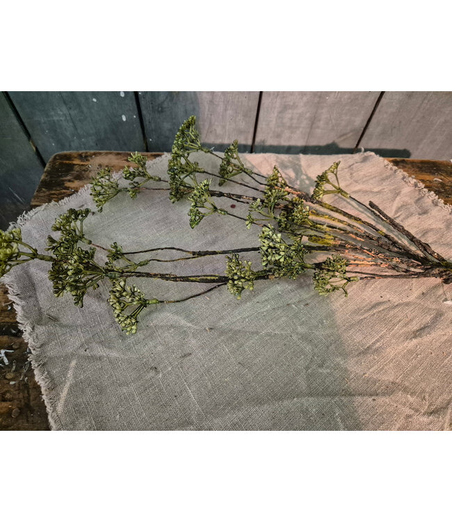 Rice flower green - 69cm