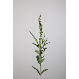 ## Veronica Spray w/7 flrs 73cm