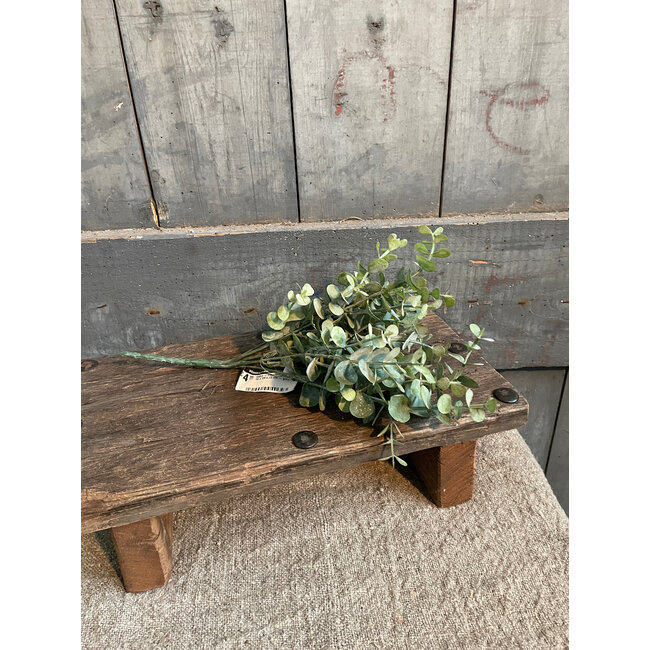# Q359 - Eucalyptus struik - 30 x 24 x 19 cm - groen