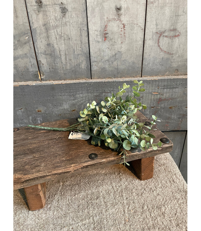 # Q359 - Eucalyptus struik - 30 x 24 x 19 cm - groen