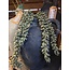 ## Erwten plant - groen - kunst - 10x2,5x33cm