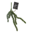 ## Erwten plant - groen - kunst - 10x2,5x33cm