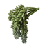 ## Erwten plant - groen - kunst - 10x2,5x33cm