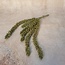 ## Erwten plant - groen - kunst - 10x2,5x33cm