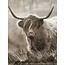 # Wanddoek van fluweelzachte (velvet) stof - 63 x 82 cm - stok 70 cm - hooglander vergrijsd