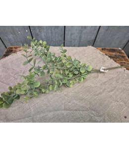 # Eucalyptus spray - 65cm - licht groen